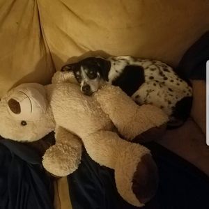 Meet your Posher, Christa